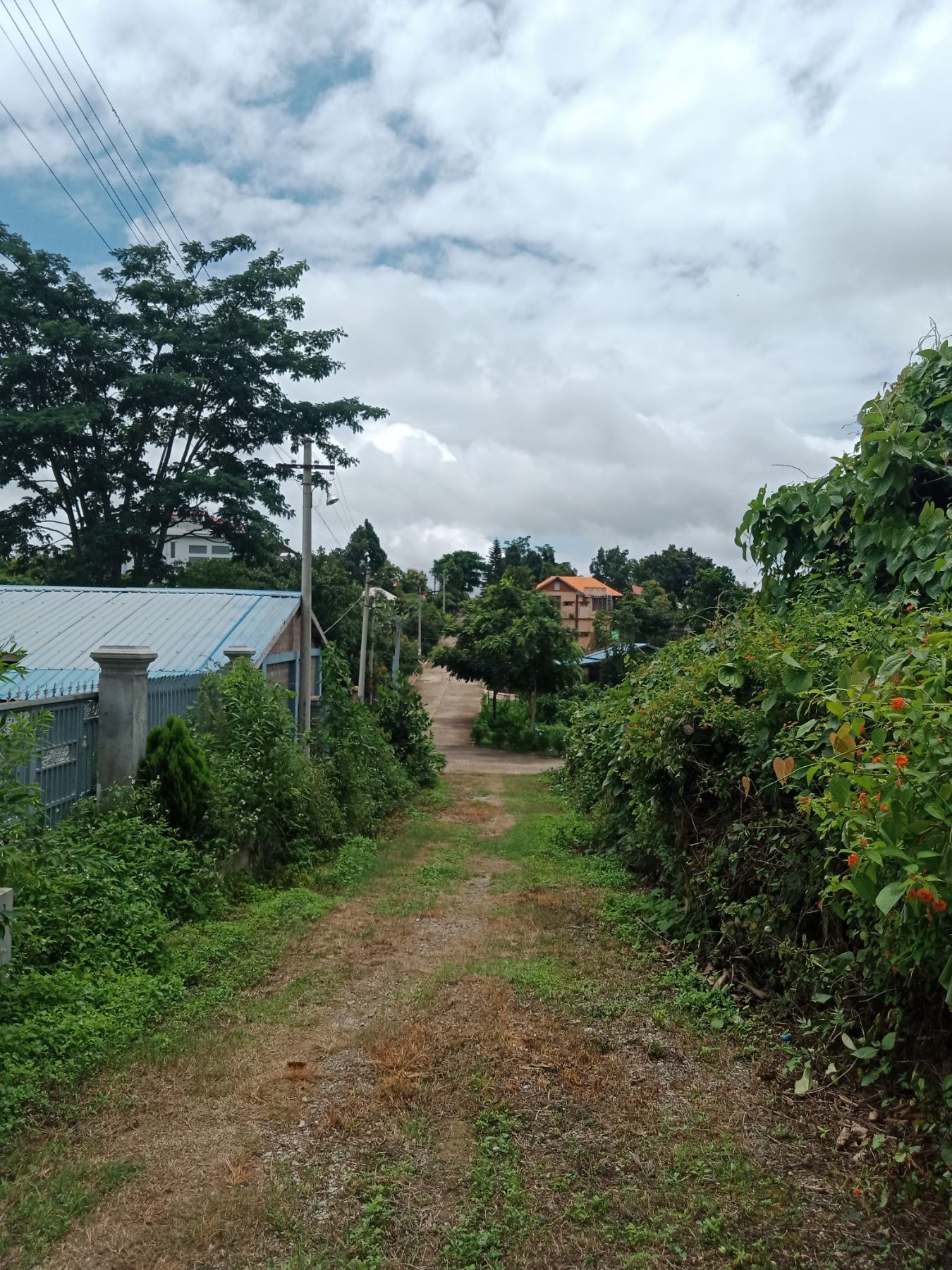 ပြင်ဦးလွင်မြို့တွင် တိတ်ဆိတ်အေးချမ်းသော ရွာမြေကွက်ကျယ် ရောင်းရန်ရှိသည်။